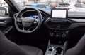 Ford Kuga 1.5 ecoblue ST-Line 2wd 120cv auto Bianco - thumbnail 10