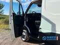 Iveco Daily 50C18 | 8.5T Vangmuil | 650kg Laadklep | Géén Gara Wit - thumbnail 17