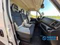 Iveco Daily 50C18 | 8.5T Vangmuil | 650kg Laadklep | Géén Gara Wit - thumbnail 25