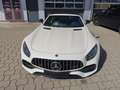 Mercedes-Benz AMG GT Edition 50 / Designo Weiß - thumbnail 8