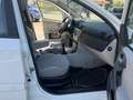 Fiat Stilo Stilo 2004 5p 1.9 jtd Actual 80cv Weiß - thumbnail 16