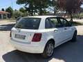 Fiat Stilo Stilo 2004 5p 1.9 jtd Actual 80cv Weiß - thumbnail 7
