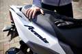 Suzuki Blanc - thumbnail 5