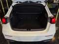 Mercedes-Benz A 200 D AMG LINE* PANO/360*/MEMORY/TEMP/KLIMAA. Weiß - thumbnail 20