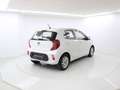 Kia Picanto 1.0 CVVT 49kW Concept (Pack Comfort) Blanco - thumbnail 5
