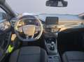 Ford Focus 1.5 EcoBlue 120 CV 5p. ST-Line Bleu - thumbnail 11