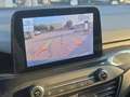 Ford Focus 1.5 EcoBlue 120 CV 5p. ST-Line Bleu - thumbnail 23