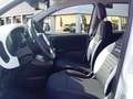 Fiat Panda 1.0 Hybrid 51kW (70cv) Pandina Bianco - thumbnail 11