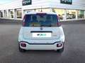 Fiat Panda 1.0 Hybrid 51kW (70cv) Pandina Bianco - thumbnail 5