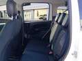 Fiat Panda 1.0 Hybrid 51kW (70cv) Pandina Bianco - thumbnail 12