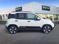 Fiat Panda 1.0 Hybrid 51kW (70cv) Pandina Bianco - thumbnail 4