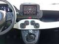Fiat Panda 1.0 Hybrid 51kW (70cv) Pandina Blanc - thumbnail 14