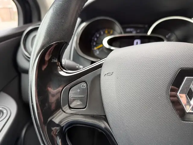 Renault Clio view 19