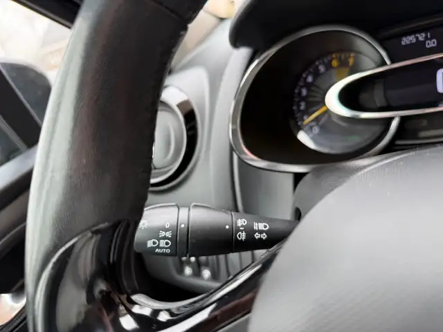 Renault Clio view 21