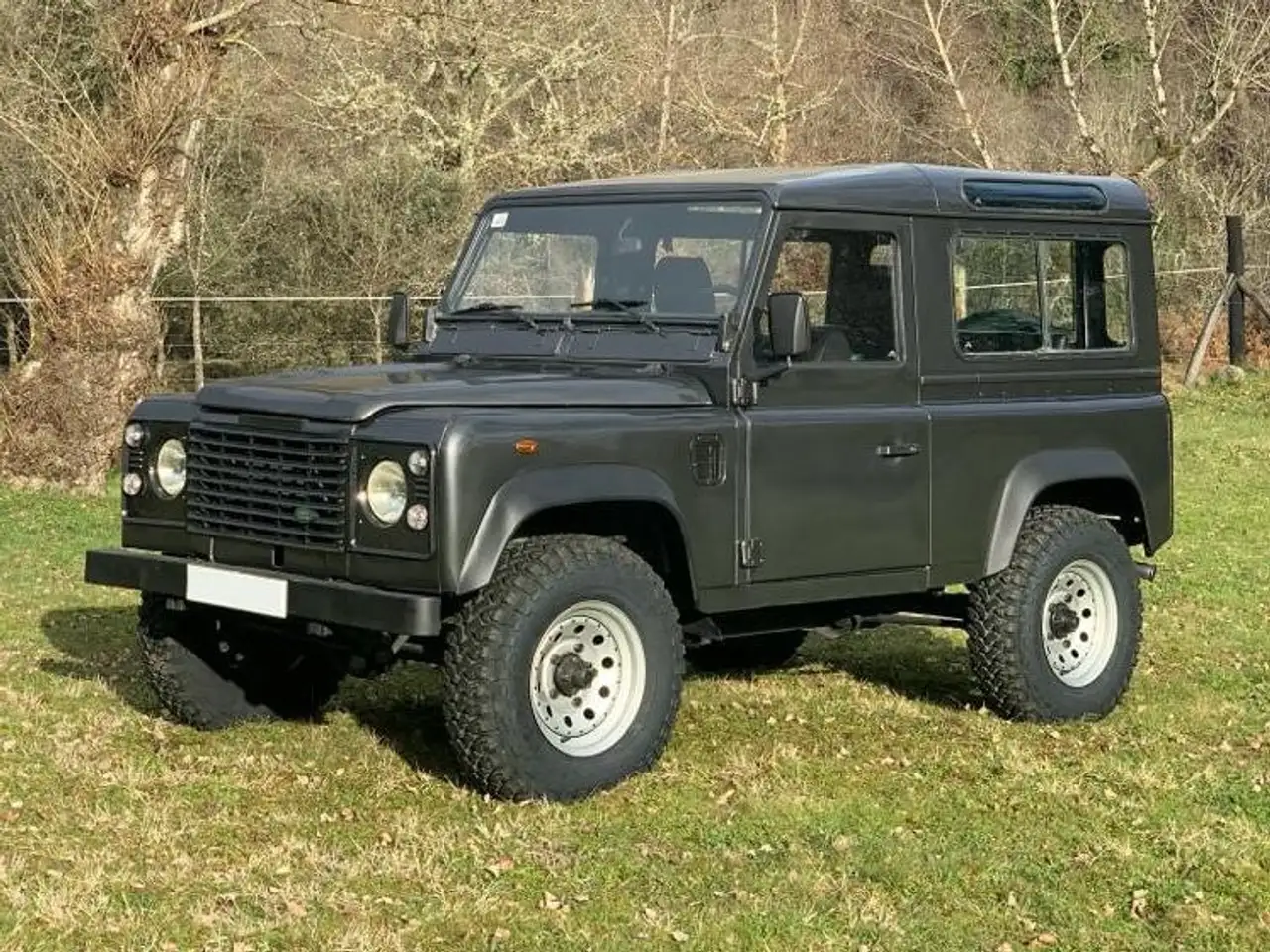 Land Rover Defender 110 TDI Techo Duro, foto 2