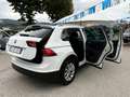 Volkswagen Tiguan " PERFETTO " Tiguan 2.0 tdi Sport 150cv dsg - thumbnail 8