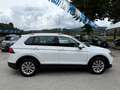 Volkswagen Tiguan " PERFETTO " Tiguan 2.0 tdi Sport 150cv dsg - thumbnail 7