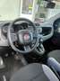 Fiat Panda Panda 1.0 firefly hybrid * NO VINCOLI * AZIENDALE Grijs - thumbnail 17