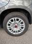 Fiat Panda Panda 1.0 firefly hybrid * NO VINCOLI * AZIENDALE Grigio - thumbnail 5