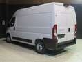 Fiat Ducato FG 23 Multijet 120 3 0 M H2 Business Weiß - thumbnail 4