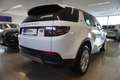 Land Rover Discovery Sport P300e PHEV AWD Aut. LED/Navi/Leder Weiß - thumbnail 5