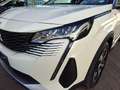 Peugeot 3008 BlueHDi 130 S&S EAT8 Road Trip "inkl. Winterkom... Weiß - thumbnail 2