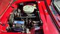 Fiat 1200 OSI S Spider Rouge - thumbnail 14