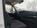 Iveco DAILY  35S 13 2.3 MJT Blanc - thumbnail 11