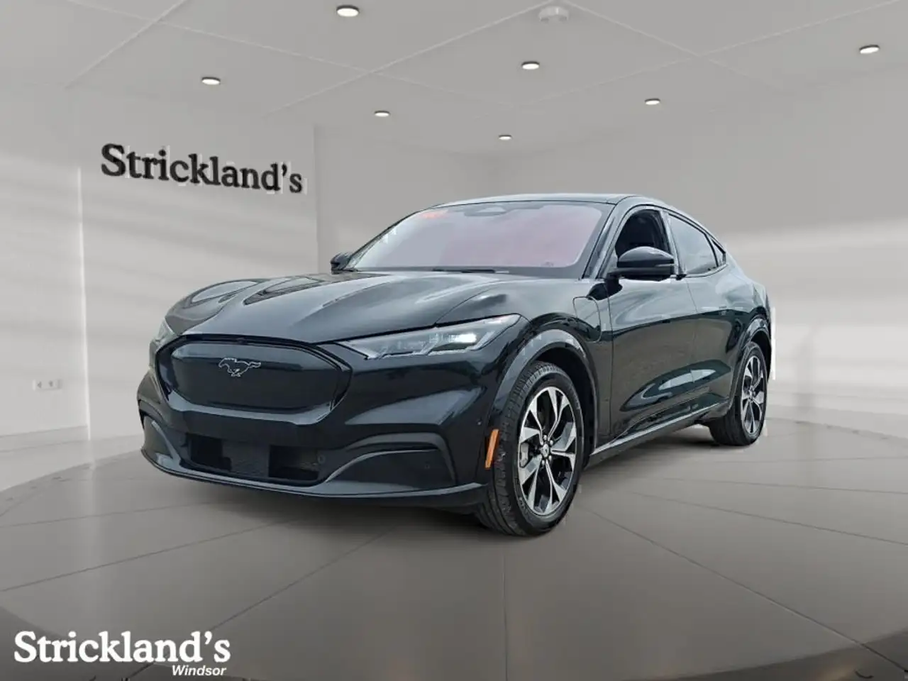 2021 Ford Mustang