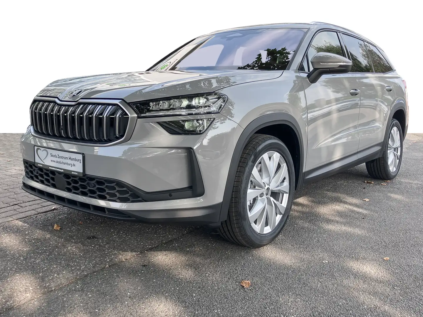 Skoda Kodiaq 2.0 TDI 4x4 Selection DSG AHK Kamera Grau - 2