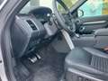Land Rover Discovery 3.0D I6 Dynamic SE Aut. 350 Gris - thumbnail 5