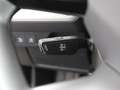 Audi Q4 e-tron Q4 40 e-tron 82kWh Aut MATRIX STANDHZG SKY NAVI Grau - thumbnail 22