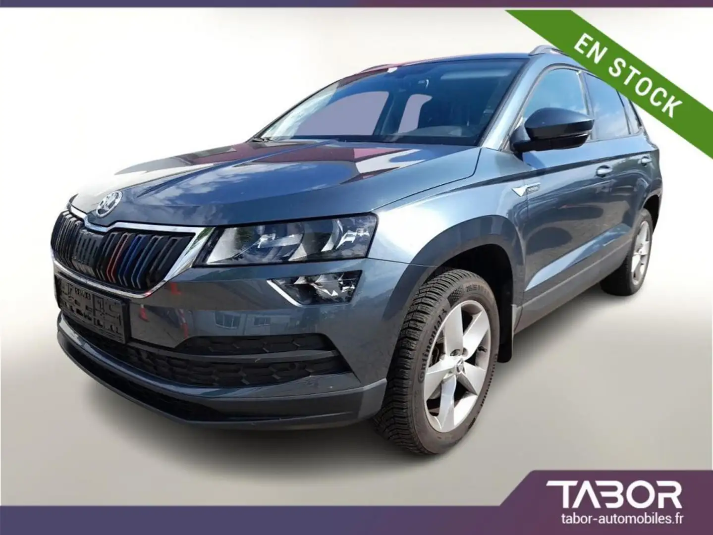 Skoda Karoq 1.6 TDI 116 DSG Ambition PDC SmartL Gris - 1