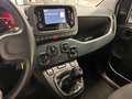 Fiat Panda NO FINANZIAMENTO - 1.0 FireFly S&S Hybrid Weiß - thumbnail 13
