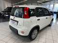 Fiat Panda NO FINANZIAMENTO - 1.0 FireFly S&S Hybrid Weiß - thumbnail 3