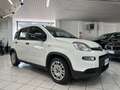 Fiat Panda NO FINANZIAMENTO - 1.0 FireFly S&S Hybrid Weiß - thumbnail 1