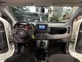 Fiat Panda NO FINANZIAMENTO - 1.0 FireFly S&S Hybrid Weiß - thumbnail 12