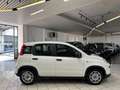 Fiat Panda NO FINANZIAMENTO - 1.0 FireFly S&S Hybrid Weiß - thumbnail 5