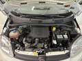 Fiat Panda NO FINANZIAMENTO - 1.0 FireFly S&S Hybrid Weiß - thumbnail 6