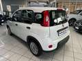 Fiat Panda NO FINANZIAMENTO - 1.0 FireFly S&S Hybrid Weiß - thumbnail 4