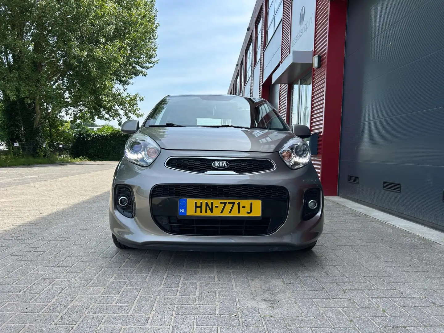 Kia Picanto 1.0 CVVT DynamicLine Cruise/Clima/Led/Bluetooth Gris - 2