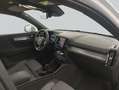 Volvo XC40 XC40 B3 B DKG Core Weiß - thumbnail 12