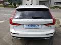 Volvo V60 Cross Country Plus B4 AWD Geartronic Weiß - thumbnail 4