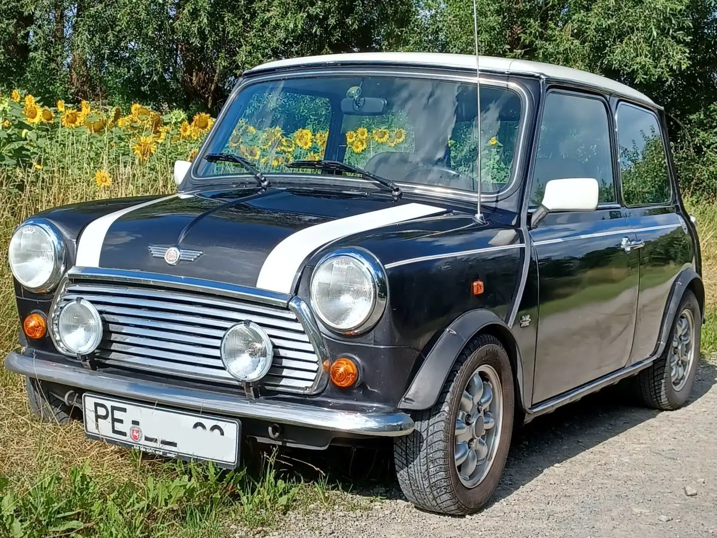 Rover MINI Mini Cooper Schwarz - 1