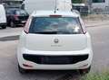 Fiat Punto Evo Punto Evo 1.2 3 porte S&S active Weiß - thumbnail 2