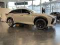 Lexus RZ 550 e DIRECT4 F Sport 2xKlima 360 4xSHZ Grau - thumbnail 2
