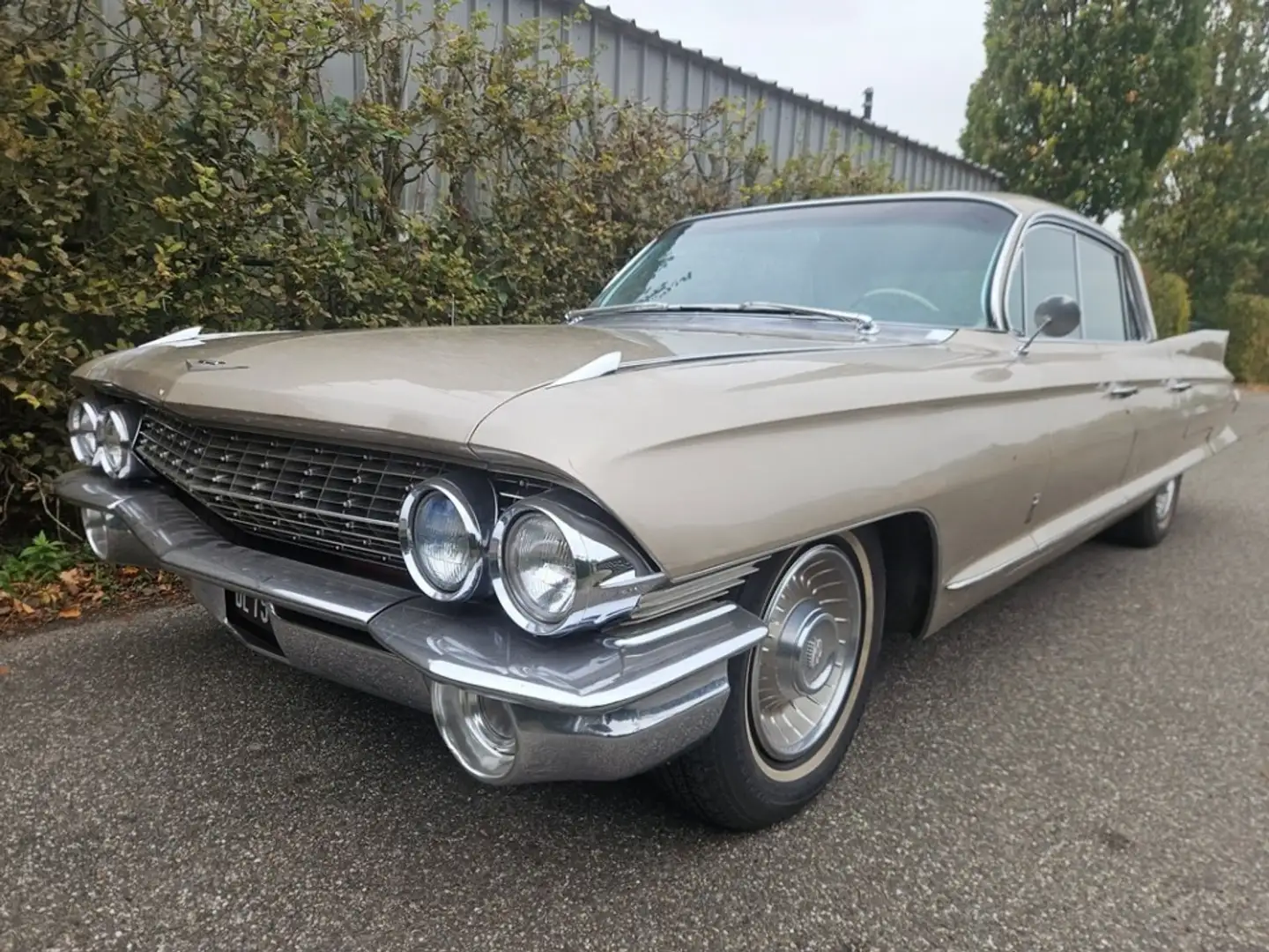 Cadillac Fleetwood FLEETWOOD SIXTIC SPECIAL Beige - 2