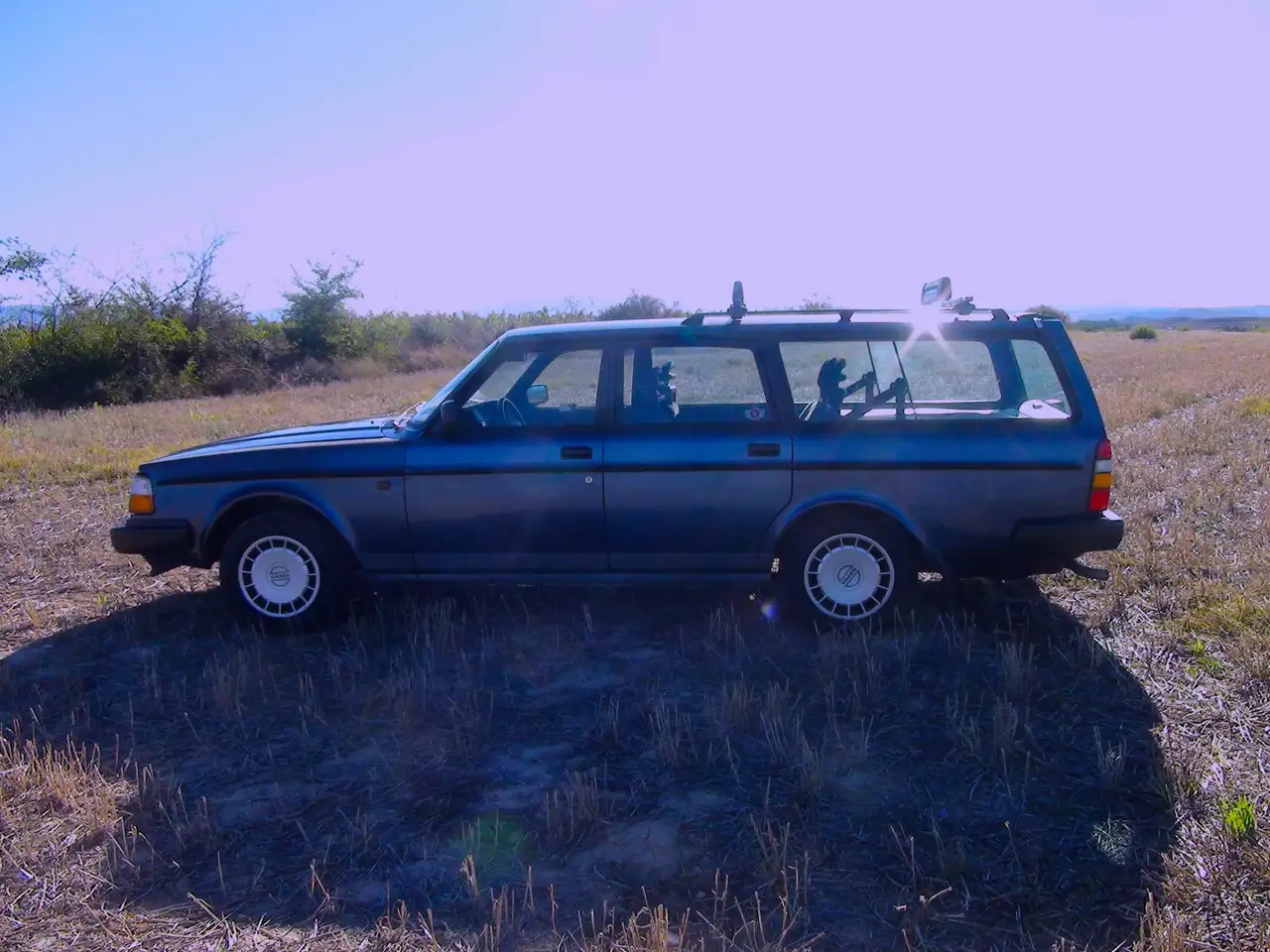Volvo 240 Polar, foto 9