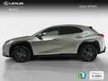 Lexus UX 250h 2.0 Business Navigation Gris - thumbnail 20
