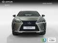 Lexus UX 250h 2.0 Business Navigation Gris - thumbnail 22